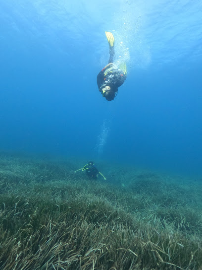 Snorkeling and Diving El Campello en Campello