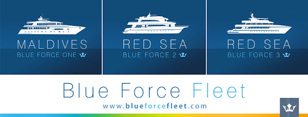 Blue Force Fleet en Bilbao